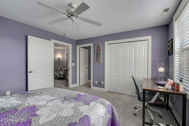104 Greenfinch Dr, Vonore, TN 37885 - photo 40