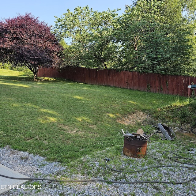 1911 Branam Hill Rd, Jellico, TN 37762 - view of yard