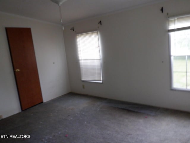 323 Delta Country Ln, Livingston, TN 38570 - photo 5