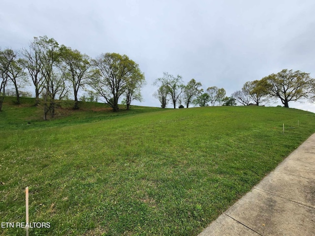 Windswept Way, Morristown, TN 37814 - photo 2