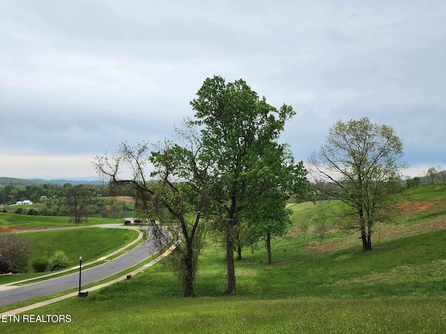 Windswept Way, Morristown, TN 37814 - photo 3