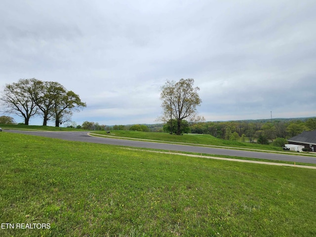 Windswept Way, Morristown, TN 37814 - photo 5