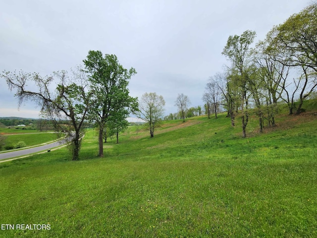 Windswept Way, Morristown, TN 37814 - photo 6