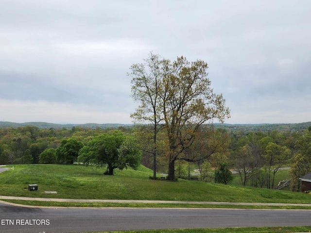 Windswept Way, Morristown, TN 37814 - photo 7