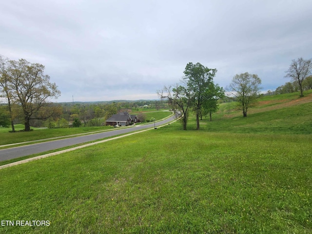 Windswept Way, Morristown, TN 37814 - photo 8