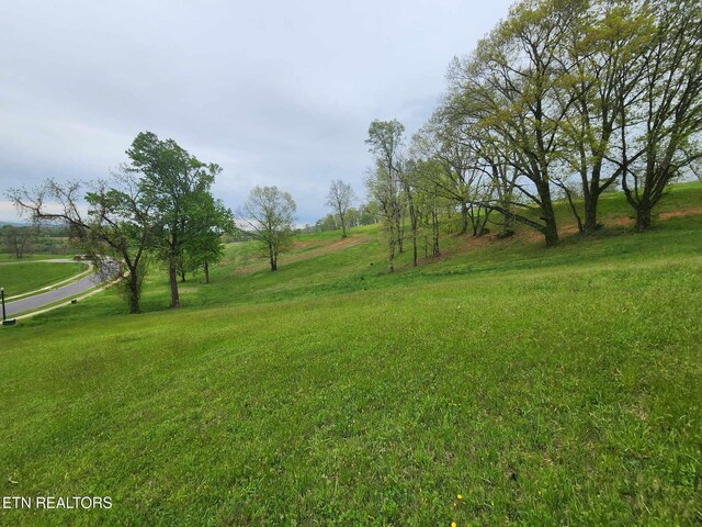 Windswept Way, Morristown, TN 37814 - photo 9