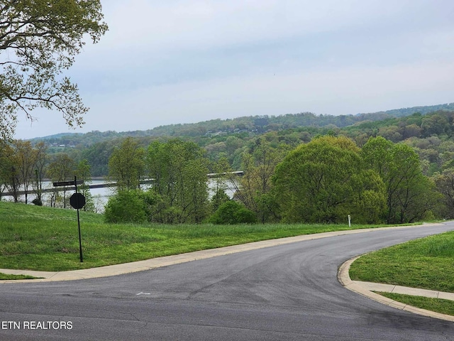 Windswept Way, Morristown, TN 37814 - photo 10