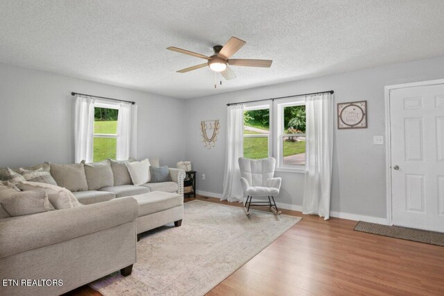382 Tionesta Dr, Jacksboro, TN 37757 - living room featuring a ceiling fan, light wood-style flooring, and a textured ceiling