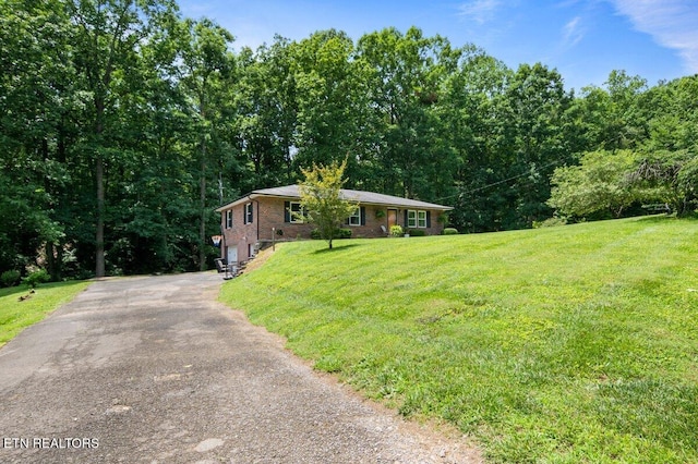 382 Tionesta Dr, Jacksboro, TN 37757 - ranch-style home featuring driveway, brick siding, a front yard, and a forest view