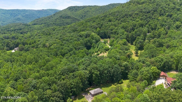 382 Tionesta Dr, Jacksboro, TN 37757 - bird's eye view of a forest