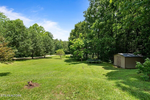 382 Tionesta Dr, Jacksboro, TN 37757 - view of grassy yard featuring a trampoline and a shed