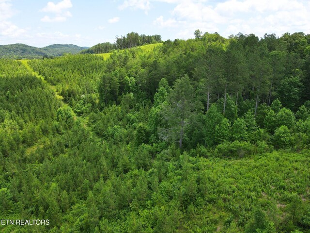 LOT54 Three Point Rd, Madisonville, TN 37354 - photo 4