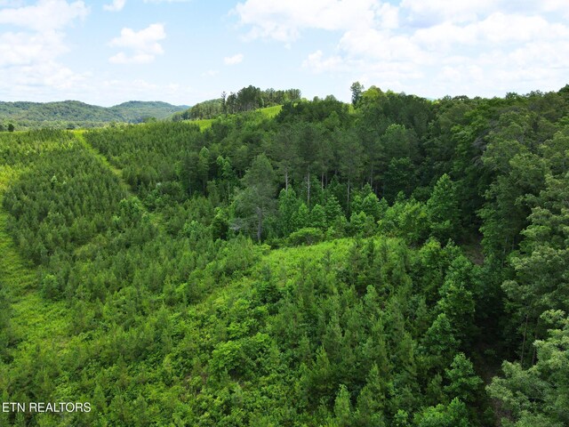 LOT54 Three Point Rd, Madisonville, TN 37354 - photo 5