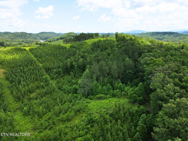 LOT54 Three Point Rd, Madisonville, TN 37354 - photo 6