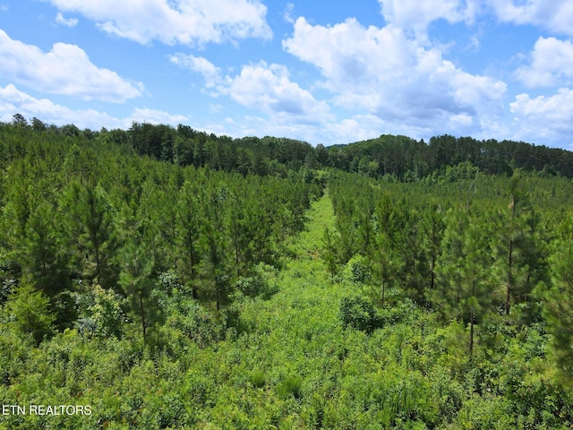 LOT54 Three Point Rd, Madisonville, TN 37354 - photo 3