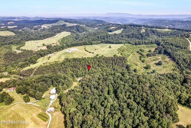 163 Ridge Rd, Sharps Chapel, TN 37866 - view of property location with a mountain backdrop