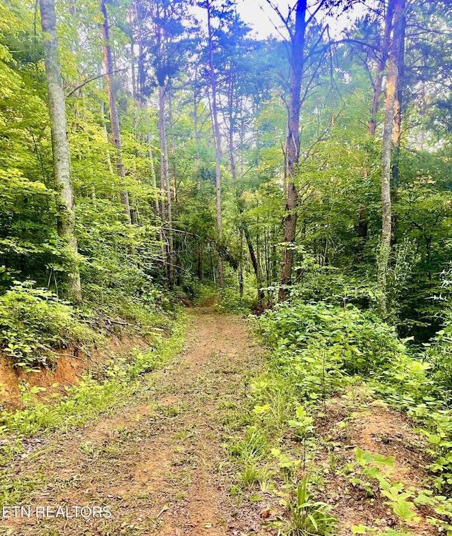 163 Ridge Rd, Sharps Chapel, TN 37866 - view of woods