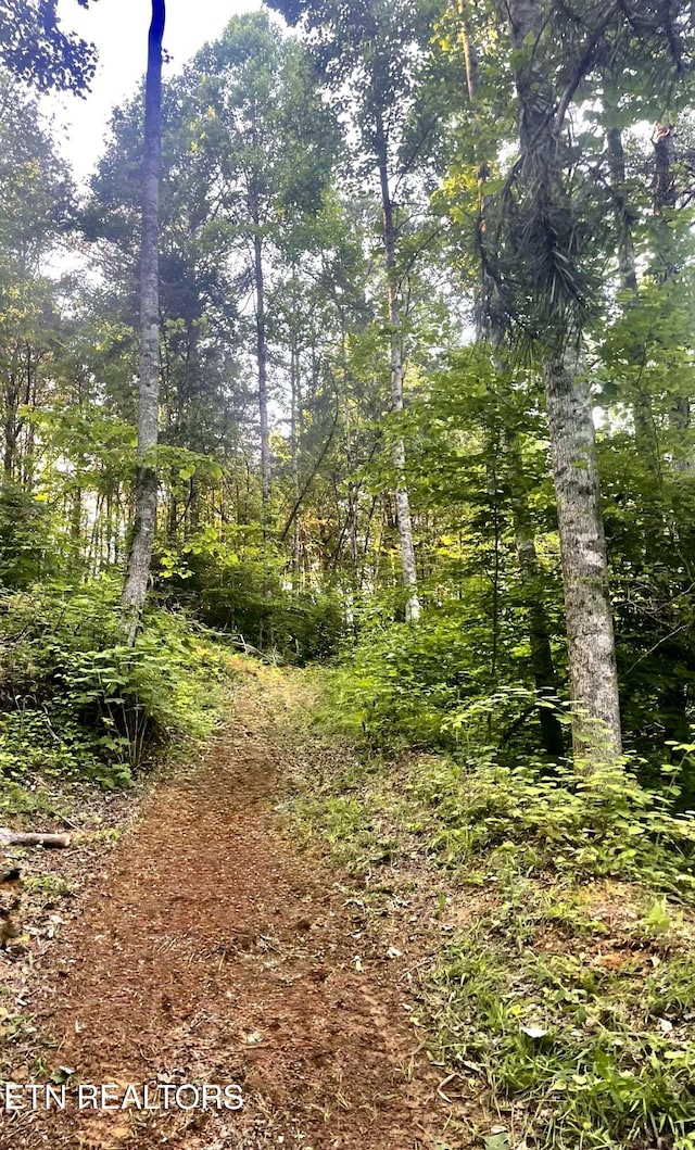163 Ridge Rd, Sharps Chapel, TN 37866 - view of local wilderness