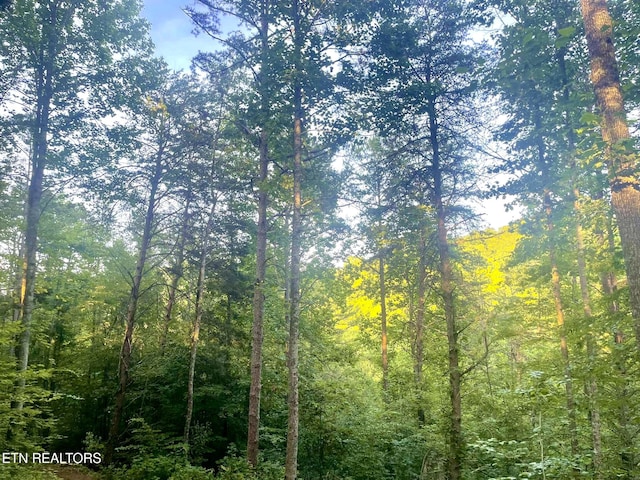 163 Ridge Rd, Sharps Chapel, TN 37866 - view of wooded area
