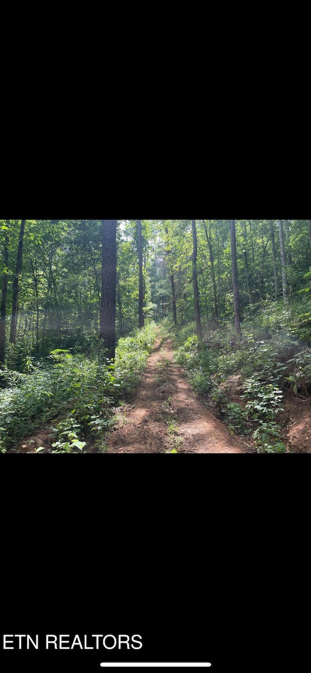 163 Ridge Rd, Sharps Chapel, TN 37866 - view of local wilderness