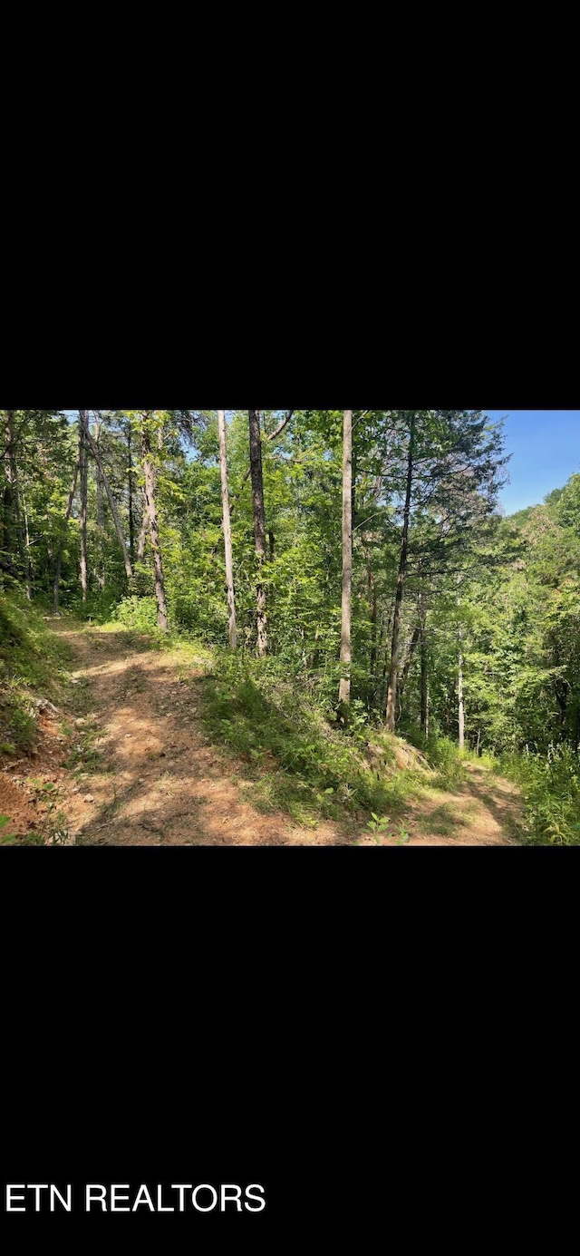 163 Ridge Rd, Sharps Chapel, TN 37866 - view of yard