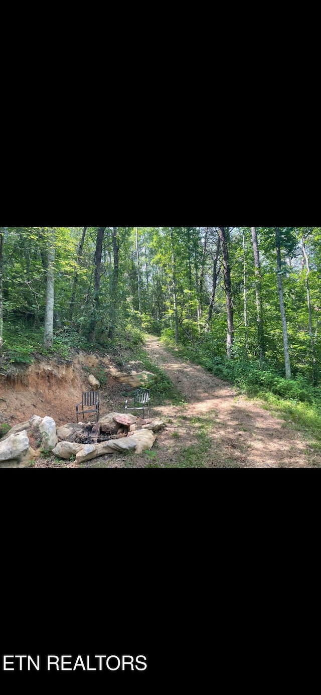 163 Ridge Rd, Sharps Chapel, TN 37866 - view of yard