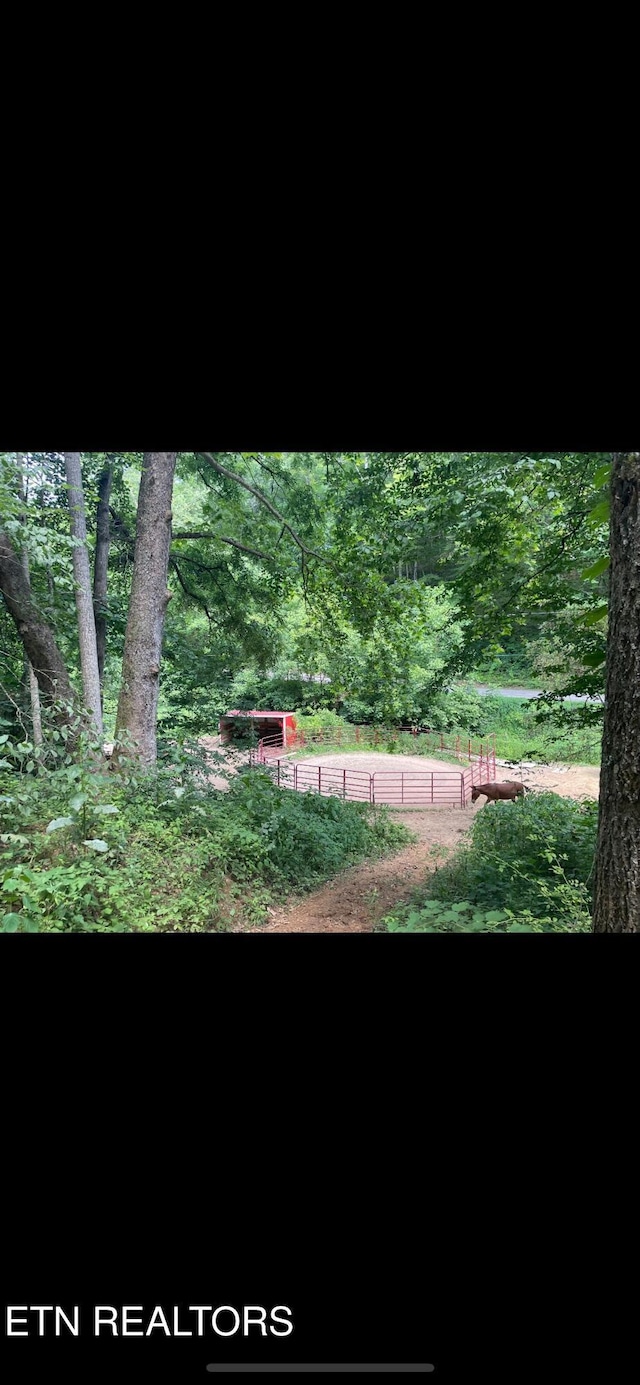 163 Ridge Rd, Sharps Chapel, TN 37866 - view of yard