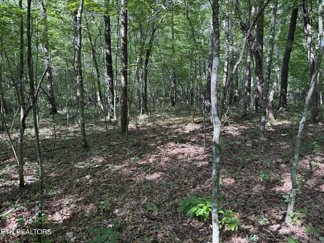 Laurel Way, Monterey, TN 38574