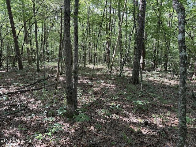 Laurel Way, Monterey, TN 38574