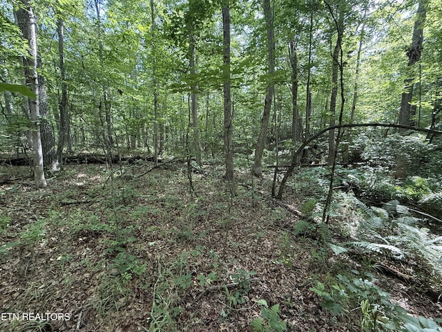 Laurel Way, Monterey, TN 38574
