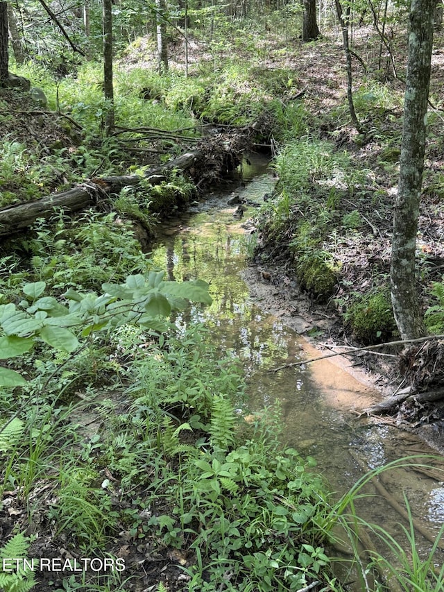 Laurel Way, Monterey, TN 38574