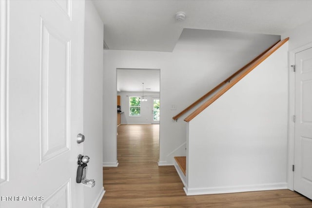 7342 Kennon Park Ln, Knoxville, TN 37909 - photo 3