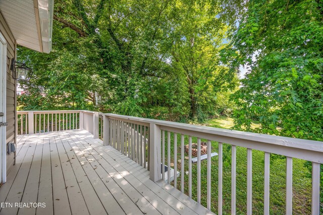 1719 Trotter Ave, Knoxville, TN 37920 - photo 5