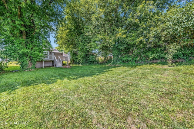 1719 Trotter Ave, Knoxville, TN 37920 - photo 7