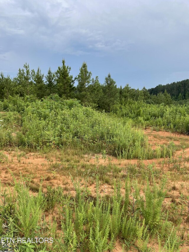LOT51 Three Point Rd, Vonore, TN 37885 - photo 21