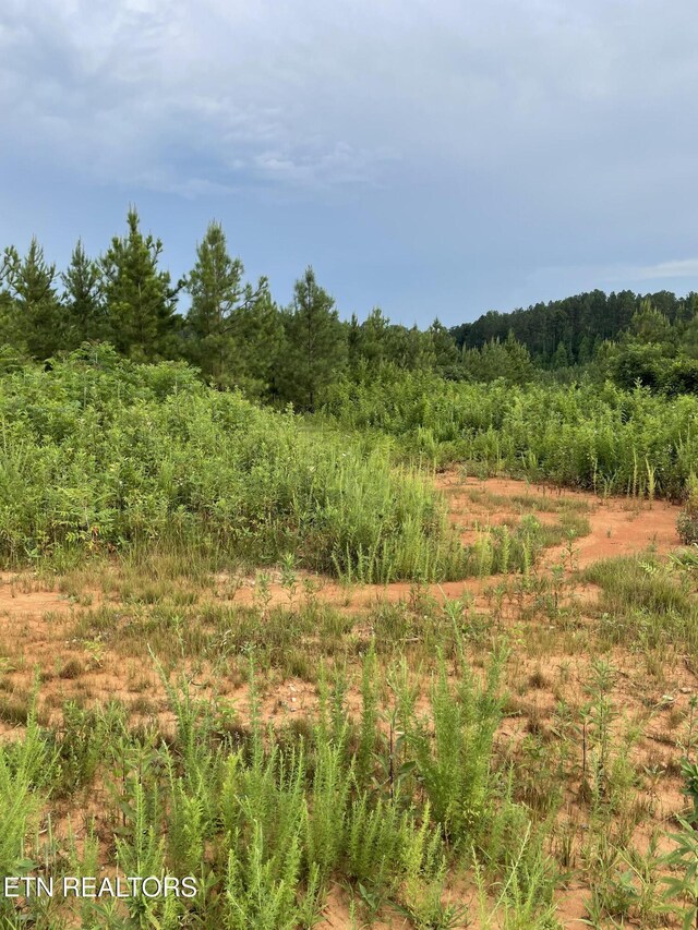 LOT51 Three Point Rd, Vonore, TN 37885 - photo 20