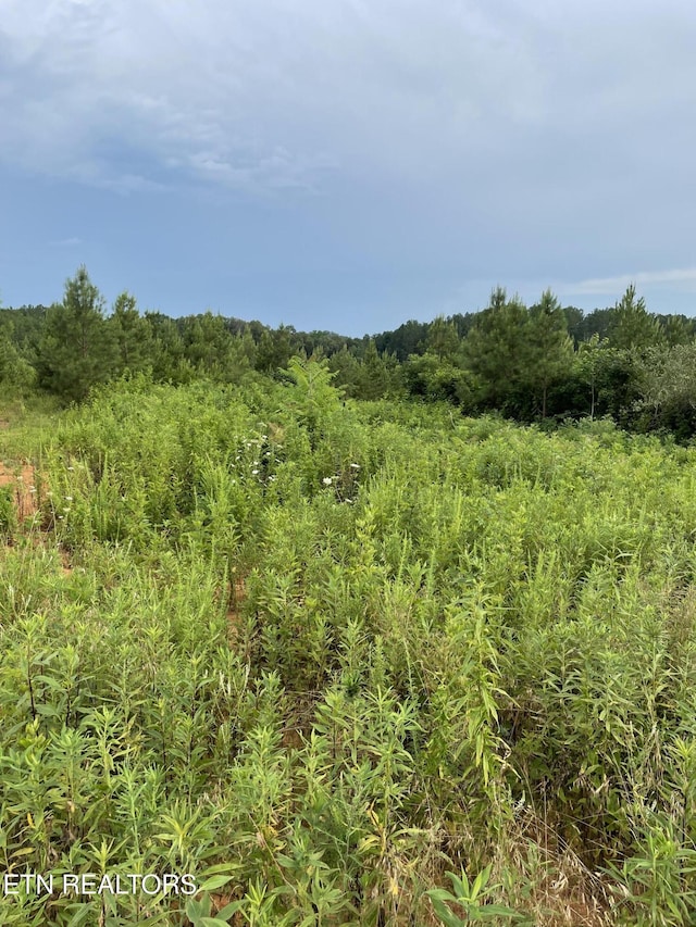 LOT51 Three Point Rd, Vonore, TN 37885 - photo 19