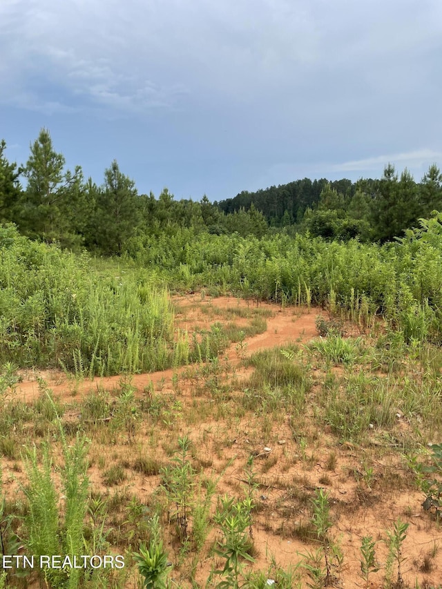 LOT51 Three Point Rd, Vonore, TN 37885 - photo 18