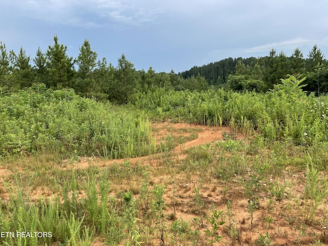 LOT51 Three Point Rd, Vonore, TN 37885 - photo 1