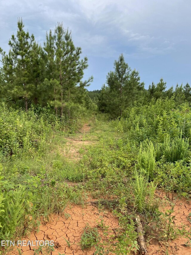 LOT51 Three Point Rd, Vonore, TN 37885 - photo 17