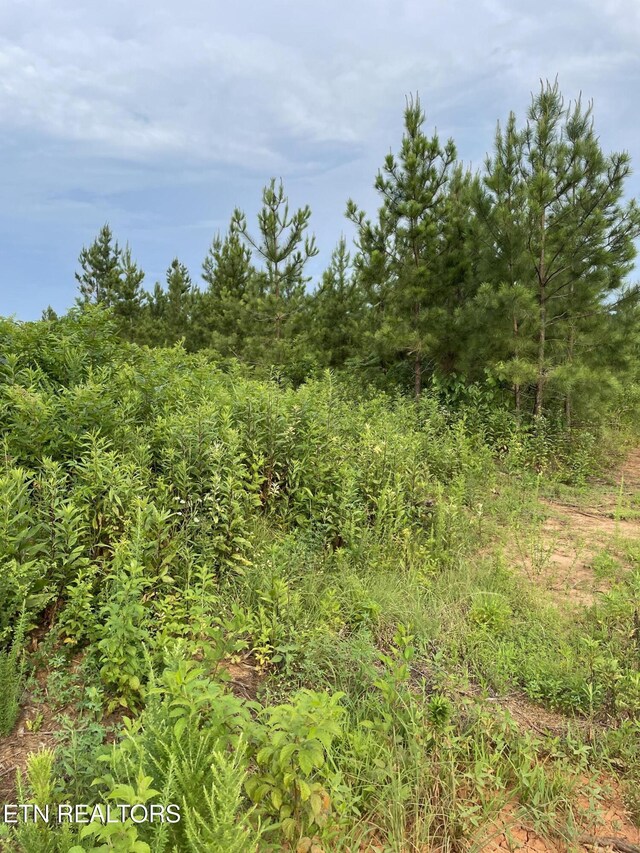 LOT51 Three Point Rd, Vonore, TN 37885 - photo 16