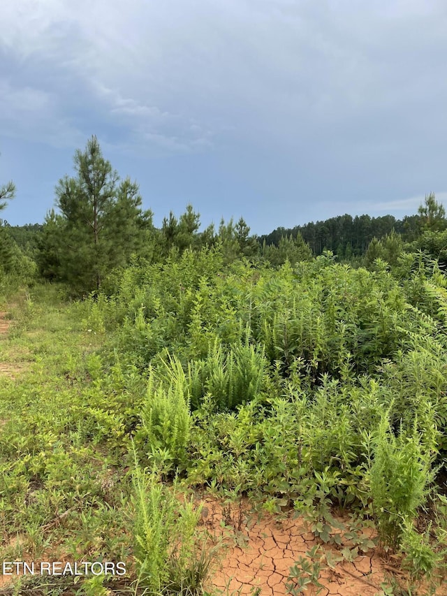LOT51 Three Point Rd, Vonore, TN 37885 - photo 15