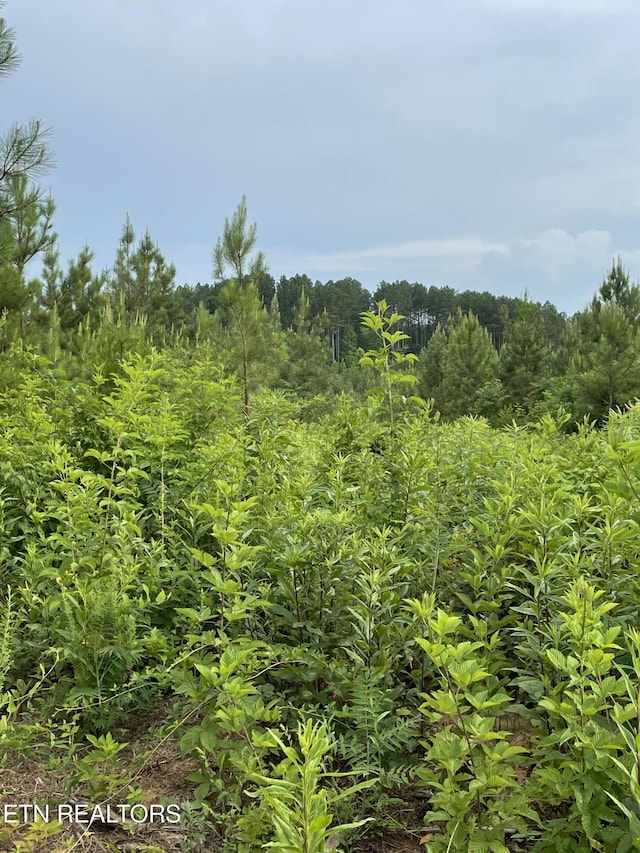 LOT51 Three Point Rd, Vonore, TN 37885 - photo 14