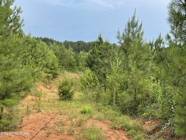 LOT51 Three Point Rd, Vonore, TN 37885 - photo 12