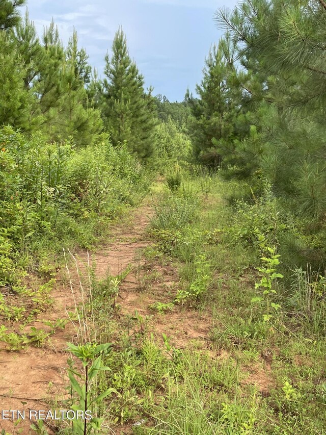 LOT51 Three Point Rd, Vonore, TN 37885 - photo 13