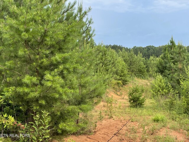 LOT51 Three Point Rd, Vonore, TN 37885 - photo 11