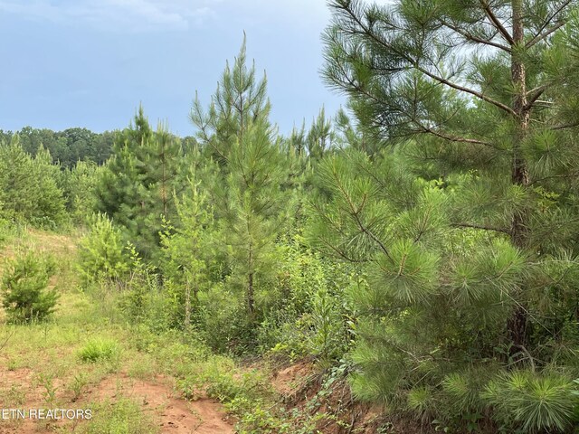 LOT51 Three Point Rd, Vonore, TN 37885 - photo 10