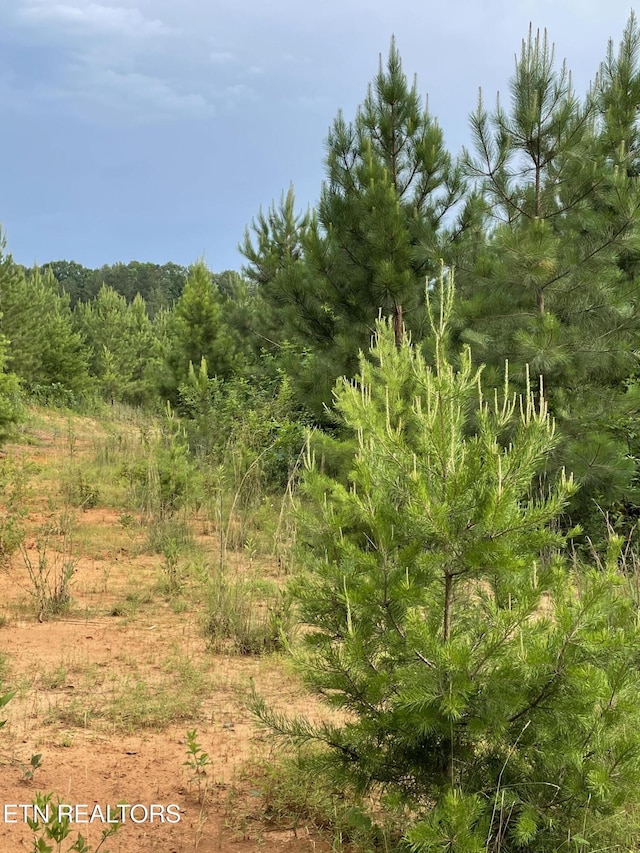 LOT51 Three Point Rd, Vonore, TN 37885 - photo 9