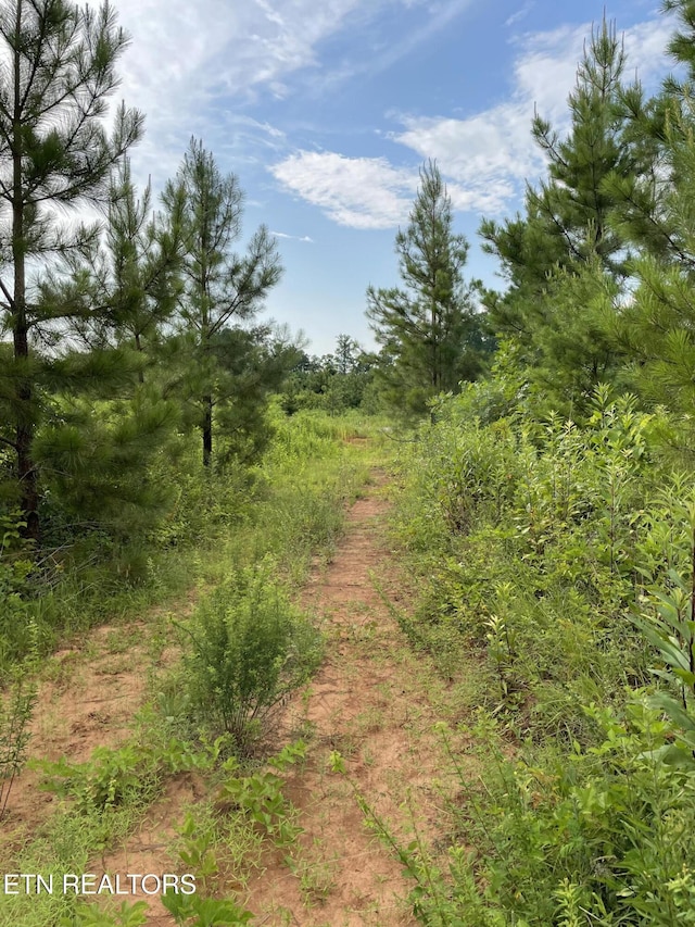 LOT51 Three Point Rd, Vonore, TN 37885 - photo 8
