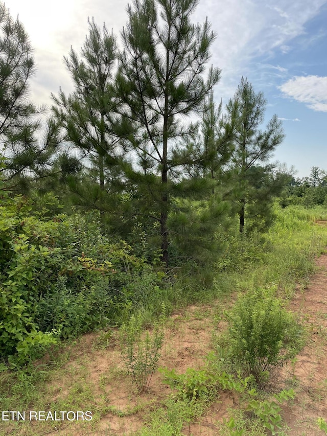 LOT51 Three Point Rd, Vonore, TN 37885 - photo 7